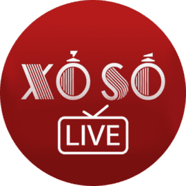 Phạm Minh Hoàng Vũ